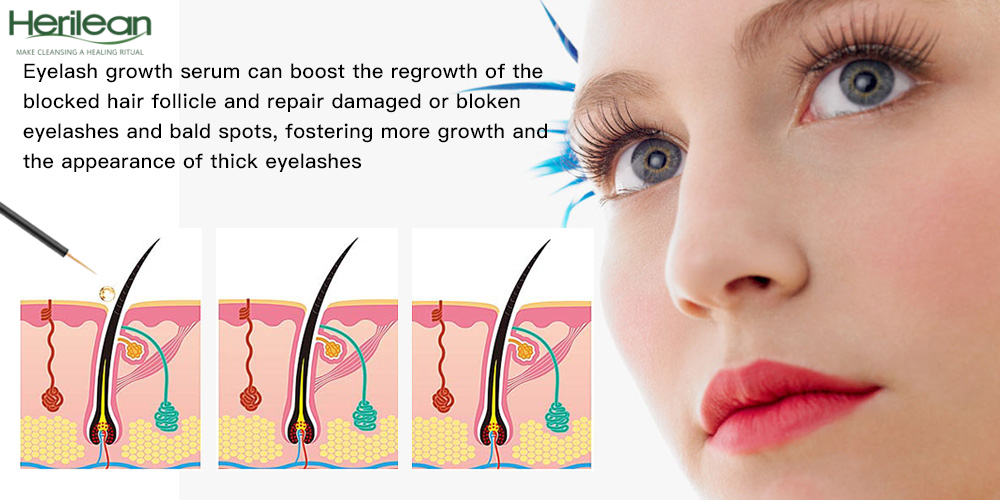 HERILEAN-Eyelash Growth Serum (Purple)